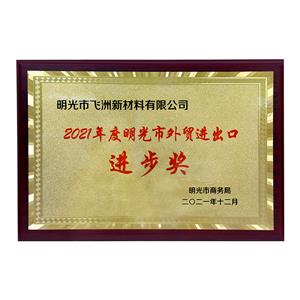 外貿(mào)進出口進步獎